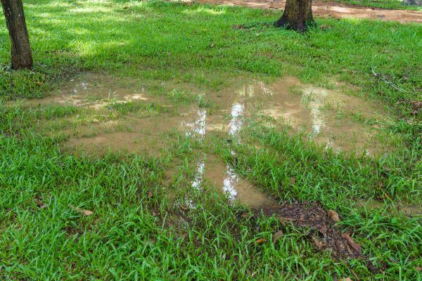 Storm Water Drainage Service in Antioch