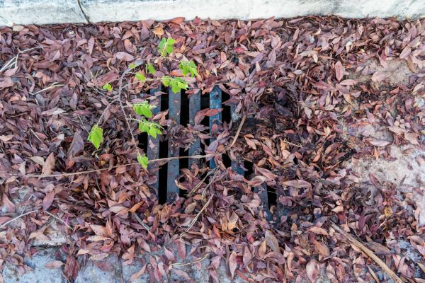 Yard Drain Unclogging in Antioch