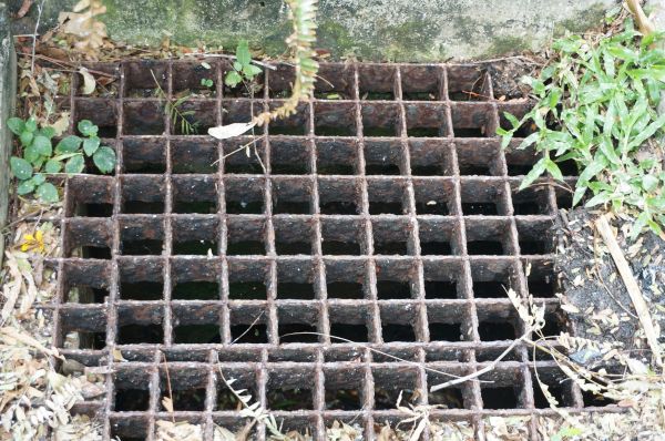 Yard Drain Cleaning in Antioch