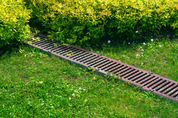 Yard Drainage Consultation