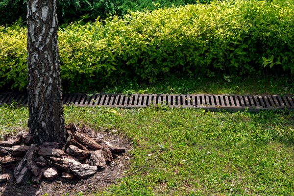 Garden Drainage Installation in Antioch