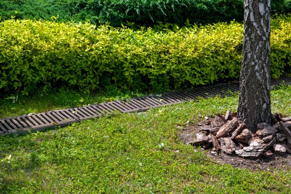 Residential Landscape Drainage in Antioch
