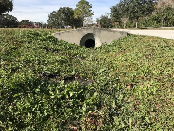 Cost of Swale Drainage Service in Antioch